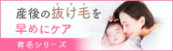 産後の抜け毛を早めにケア 育毛シリーズ